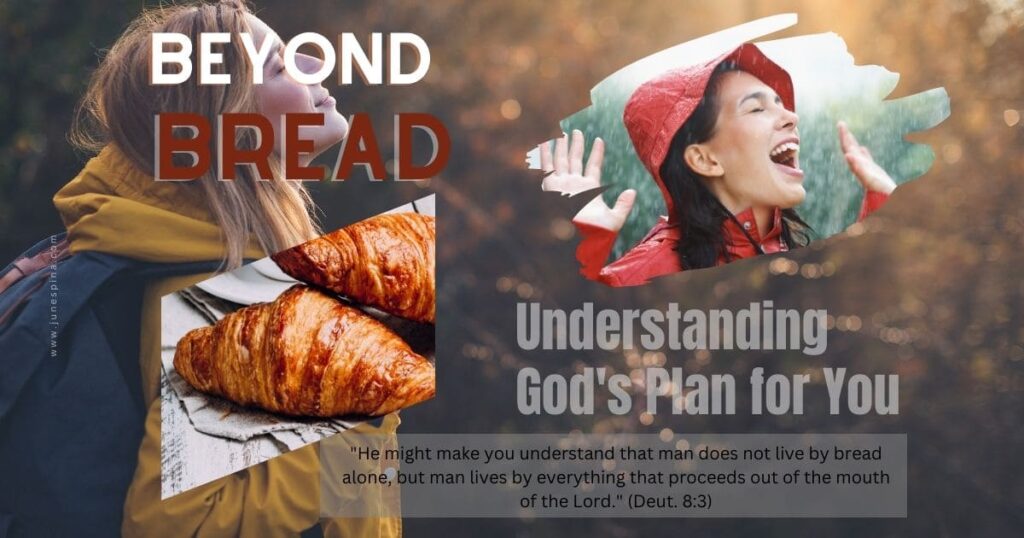 god's plan