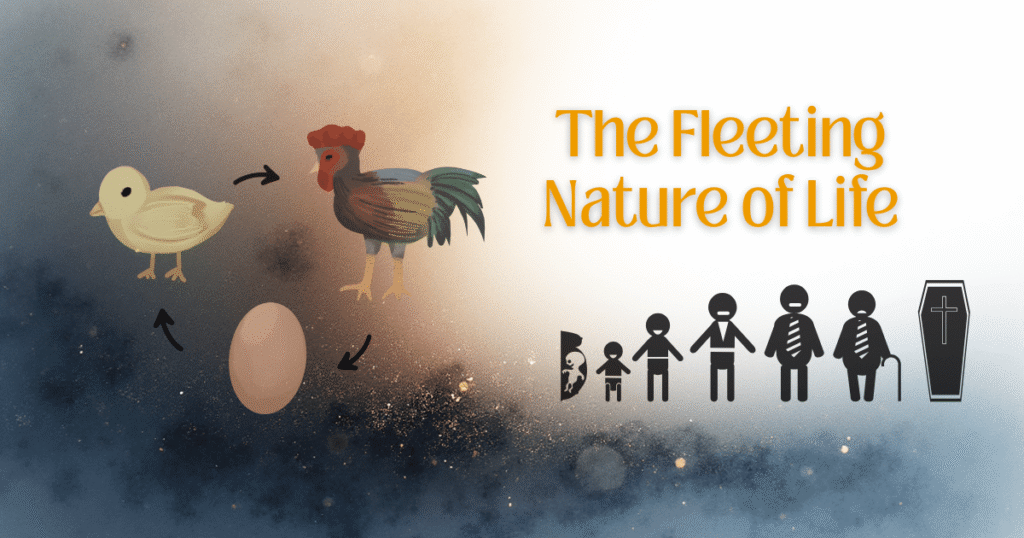 the fleeting nature of life